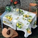 Linen Tablecloth Treated